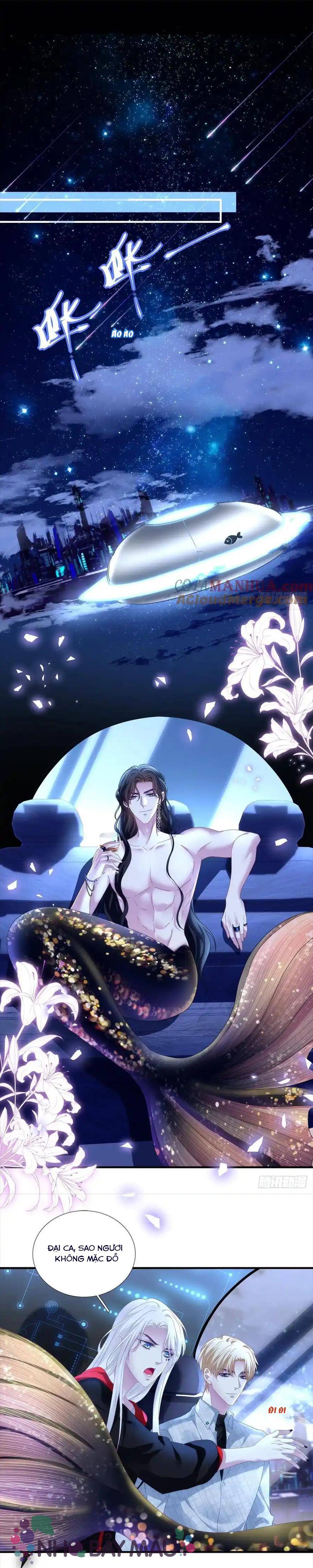 Thánh Tâm Không Khó Trêu Chọc - Chap 7