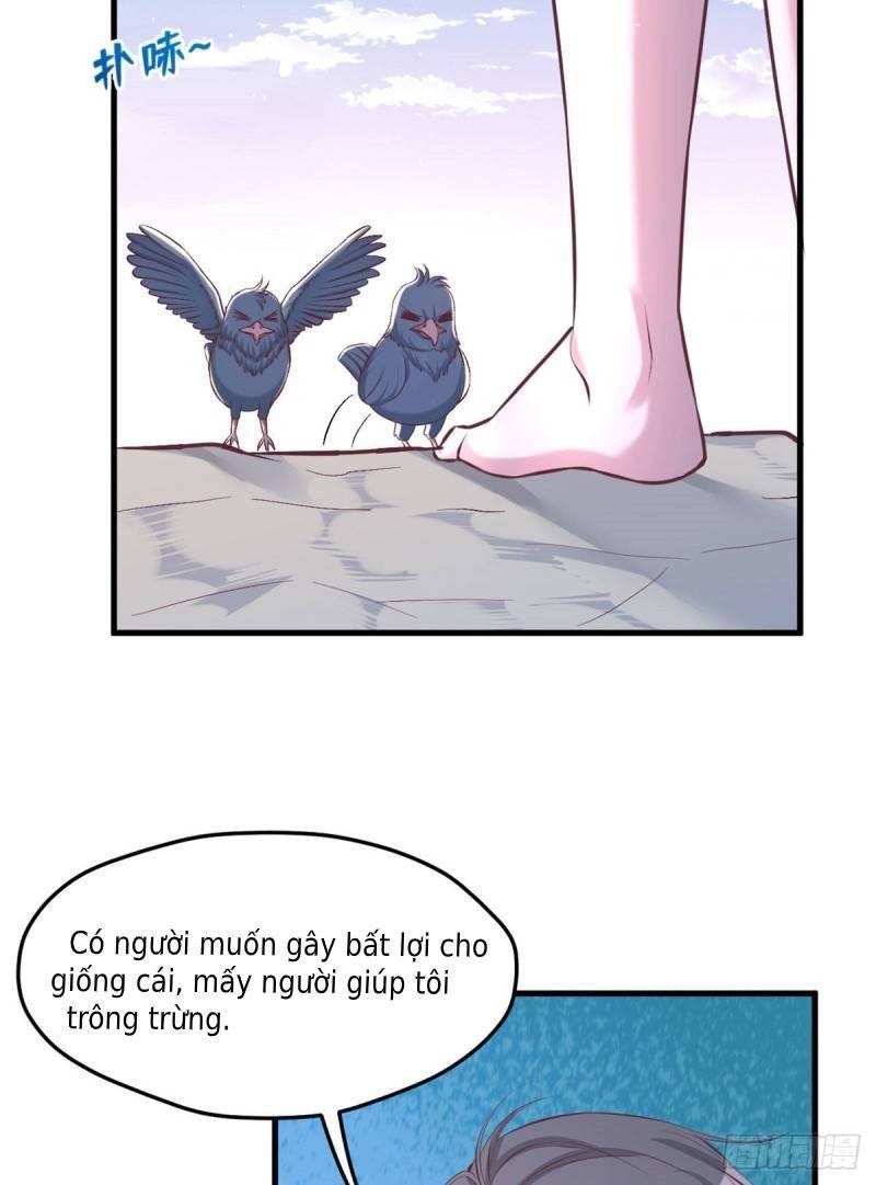 Thảnh Thơi Thú Thế Chủng Chủng Điền, Sinh Sinh Tể - Chap 172