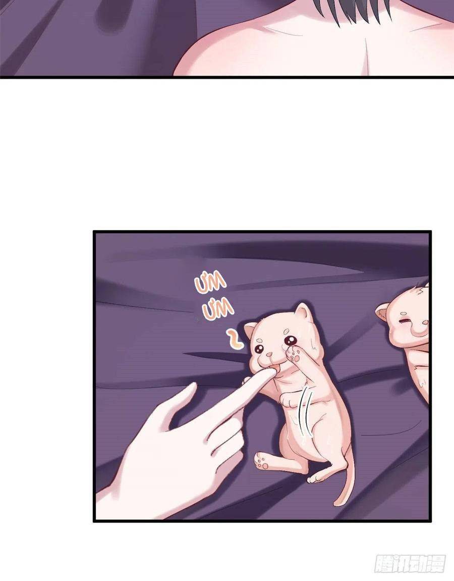 Thảnh Thơi Thú Thế Chủng Chủng Điền, Sinh Sinh Tể - Chap 203