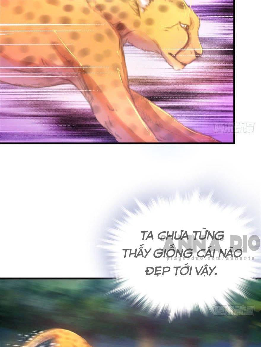 Thảnh Thơi Thú Thế Chủng Chủng Điền, Sinh Sinh Tể - Chap 6