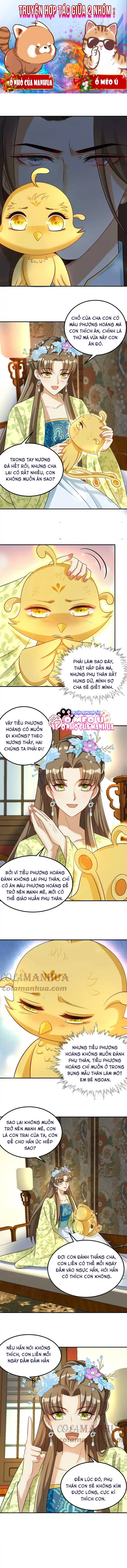 Thiên Tài Manh Bảo , Mẫu Thân Nghịch Thiên Bật Hack Rồi! - Chap 13