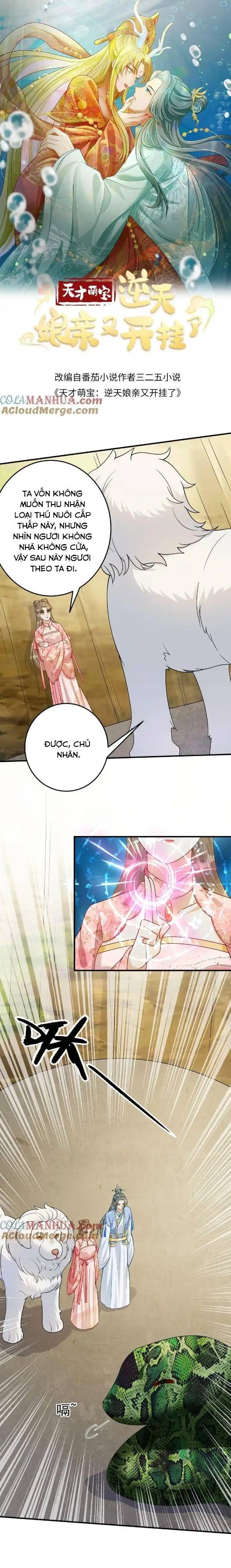 Thiên Tài Manh Bảo , Mẫu Thân Nghịch Thiên Bật Hack Rồi! - Chap 132