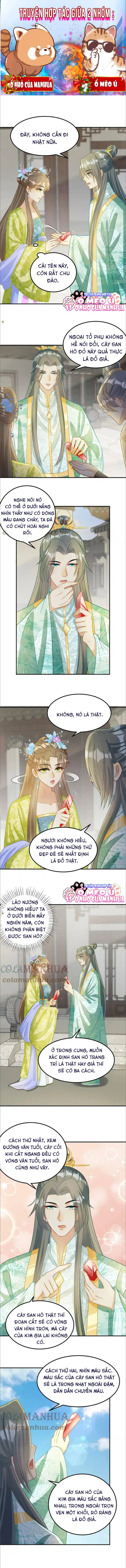 Thiên Tài Manh Bảo , Mẫu Thân Nghịch Thiên Bật Hack Rồi! - Chap 17