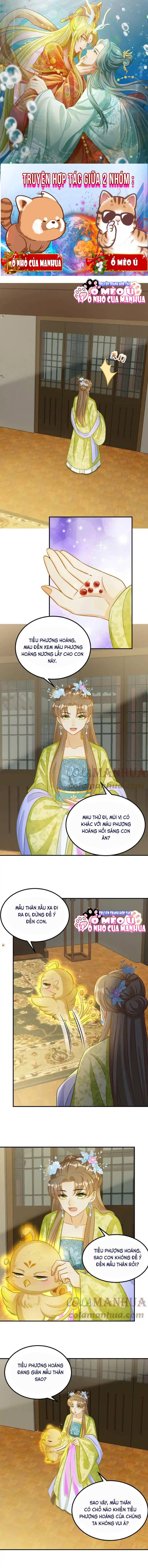 Thiên Tài Manh Bảo , Mẫu Thân Nghịch Thiên Bật Hack Rồi! - Chap 23