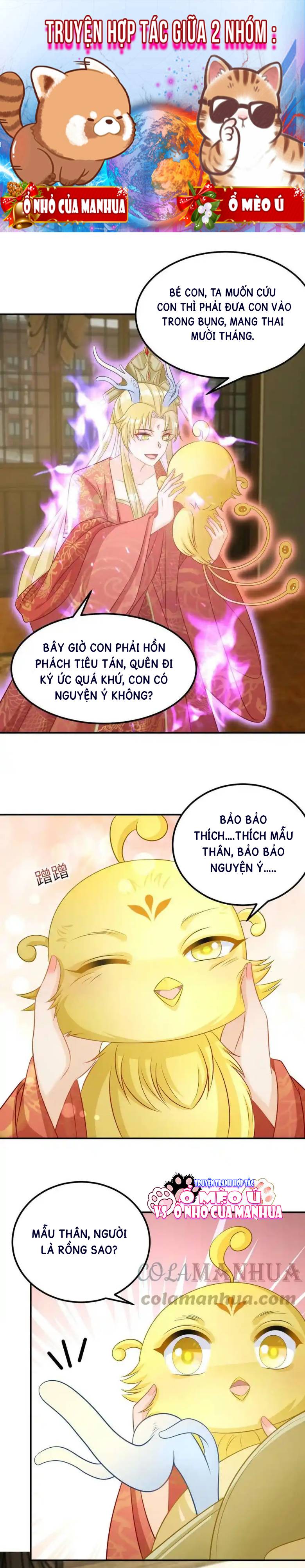 Thiên Tài Manh Bảo , Mẫu Thân Nghịch Thiên Bật Hack Rồi! - Chap 3