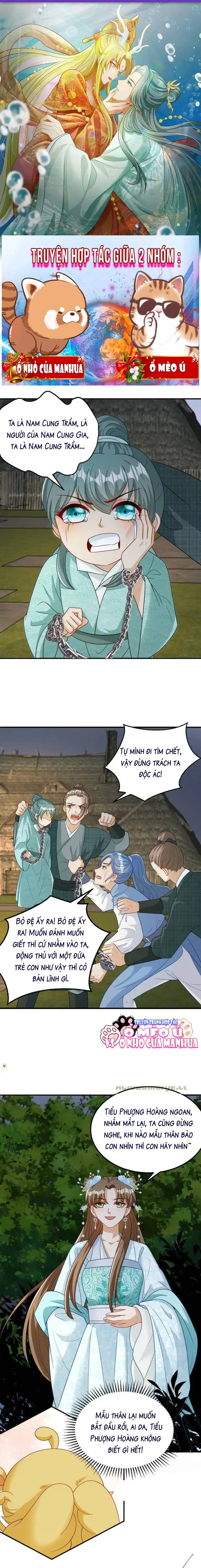 Thiên Tài Manh Bảo , Mẫu Thân Nghịch Thiên Bật Hack Rồi! - Chap 42