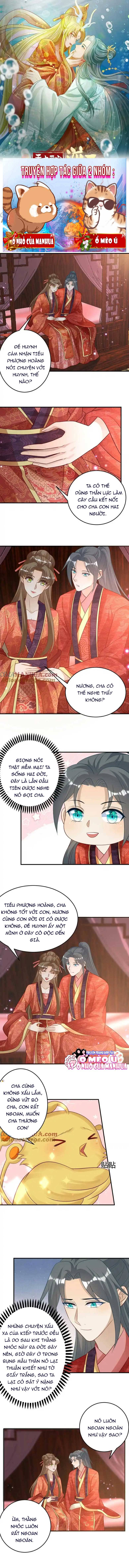 Thiên Tài Manh Bảo , Mẫu Thân Nghịch Thiên Bật Hack Rồi! - Chap 75