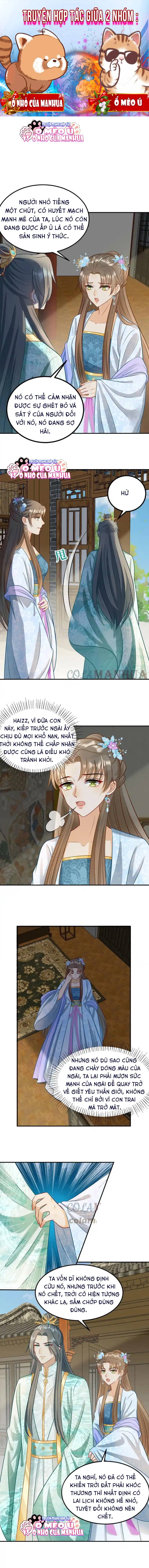 Thiên Tài Manh Bảo , Mẫu Thân Nghịch Thiên Bật Hack Rồi! - Chap 8