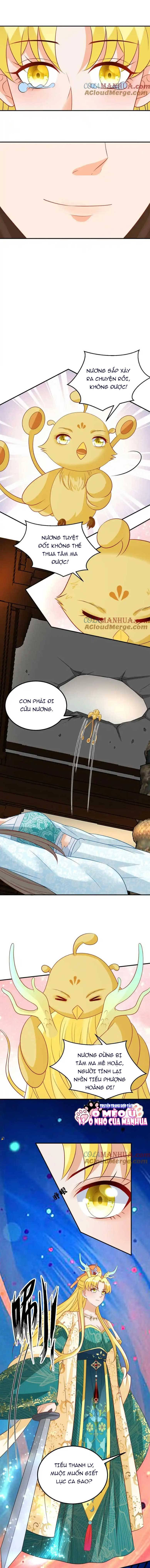 Thiên Tài Manh Bảo , Mẫu Thân Nghịch Thiên Bật Hack Rồi! - Chap 84