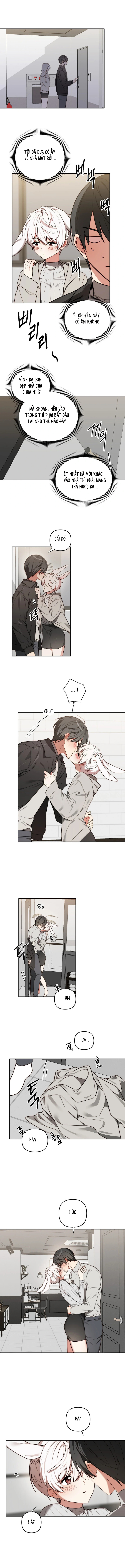 Thỏ Vũ Trụ - Chap 3