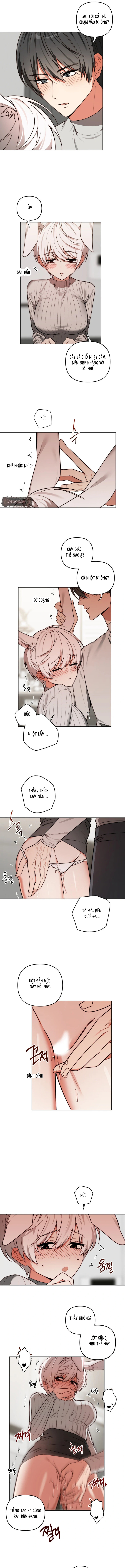 Thỏ Vũ Trụ - Chap 3