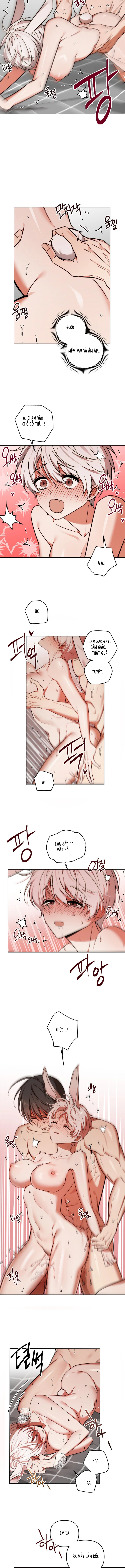 Thỏ Vũ Trụ - Chap 3