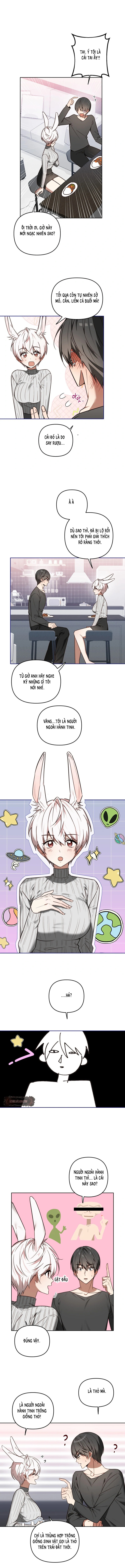 Thỏ Vũ Trụ - Chap 4