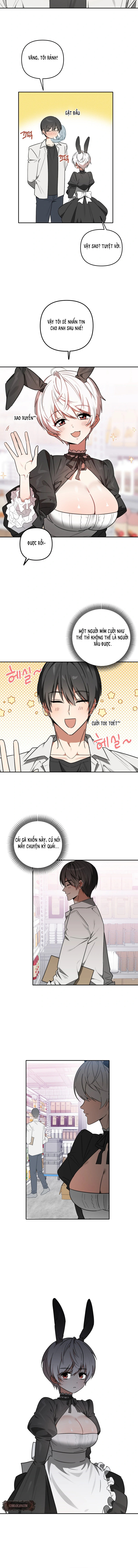 Thỏ Vũ Trụ - Chap 5