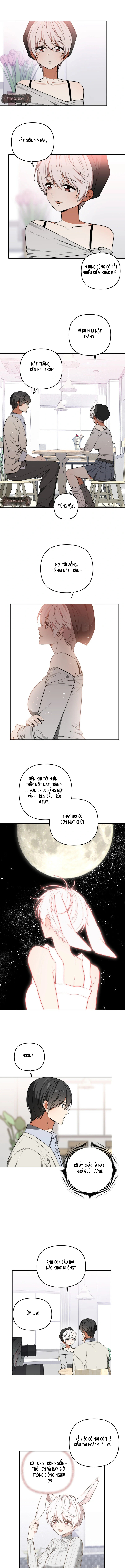 Thỏ Vũ Trụ - Chap 6