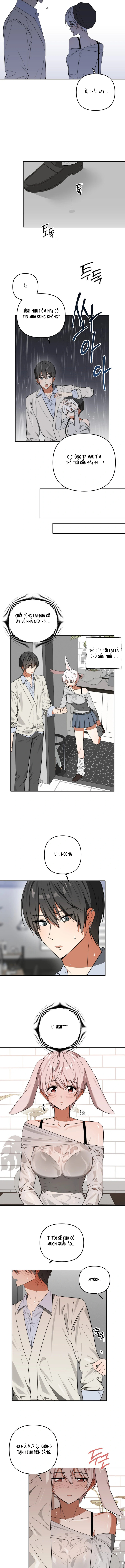 Thỏ Vũ Trụ - Chap 6