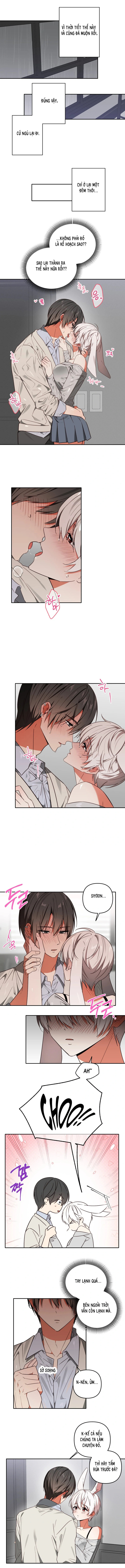 Thỏ Vũ Trụ - Chap 7