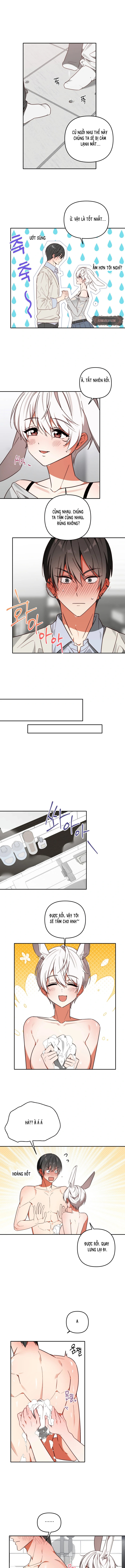 Thỏ Vũ Trụ - Chap 7