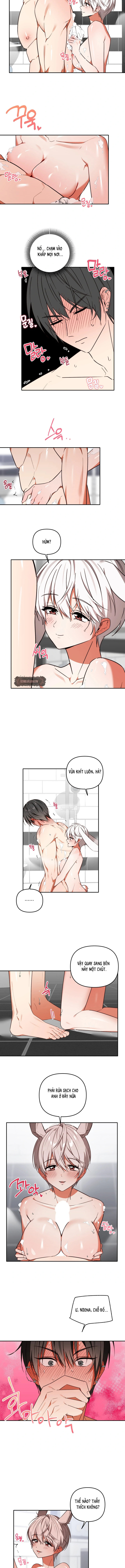 Thỏ Vũ Trụ - Chap 7