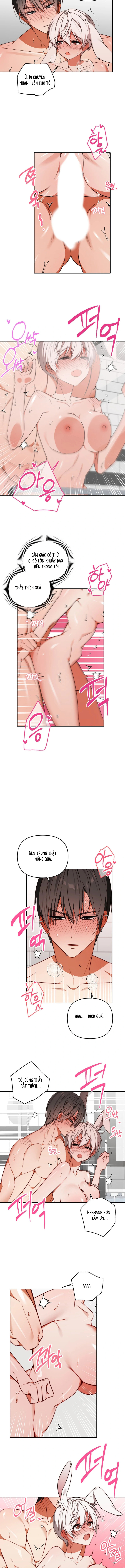 Thỏ Vũ Trụ - Chap 7