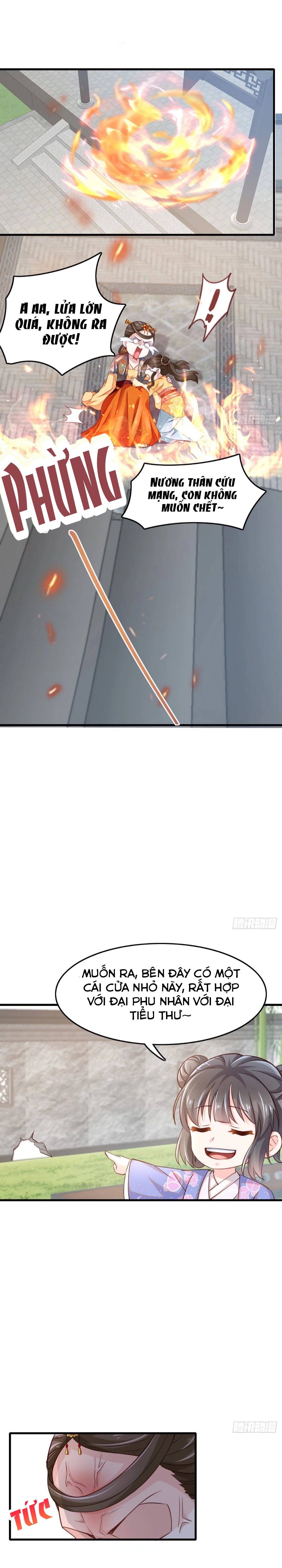 Thuần Hóa Ba Ba Bạo Quân - Chap 3