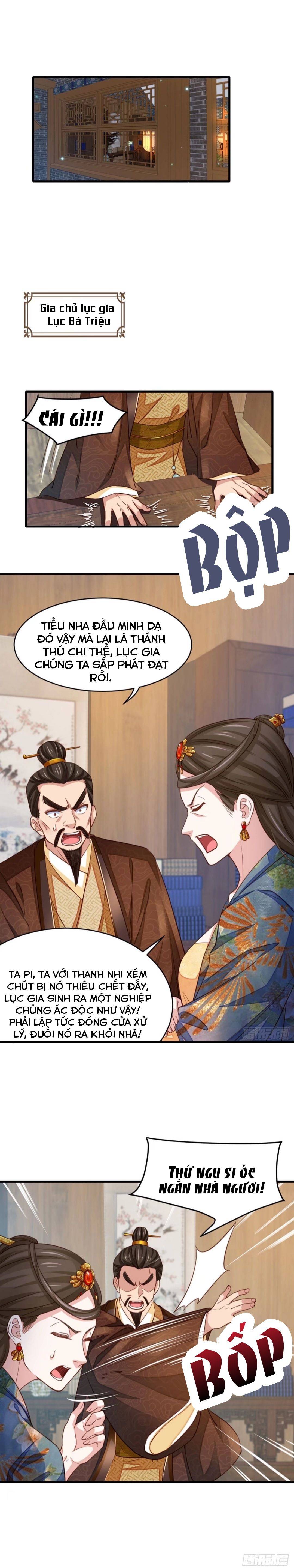 Thuần Hóa Ba Ba Bạo Quân - Chap 4