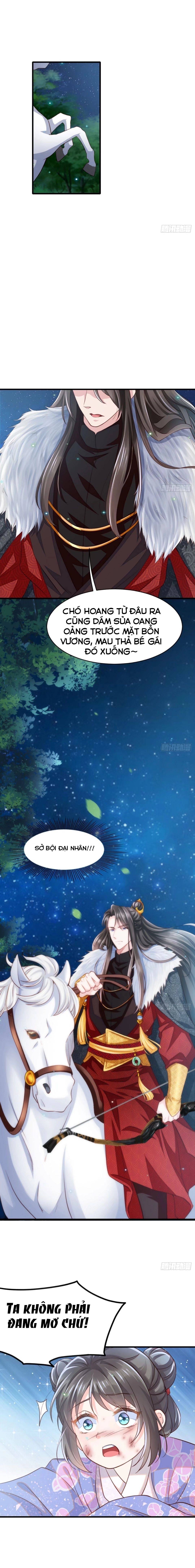 Thuần Hóa Ba Ba Bạo Quân - Chap 4