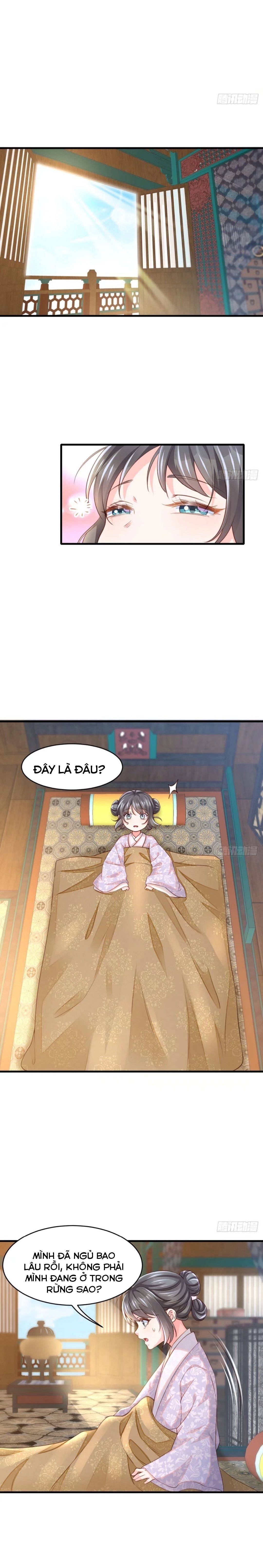 Thuần Hóa Ba Ba Bạo Quân - Chap 5