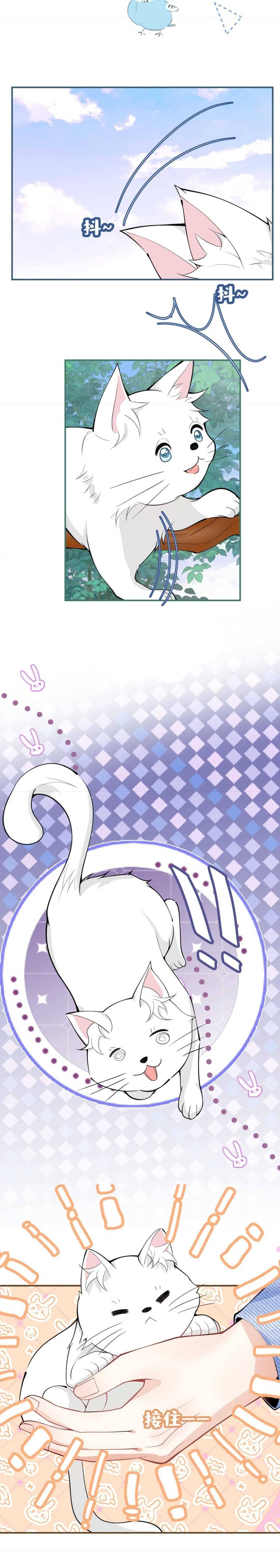 Tôi Có Năm Ba Ba Là Đại Boss - Chap 102