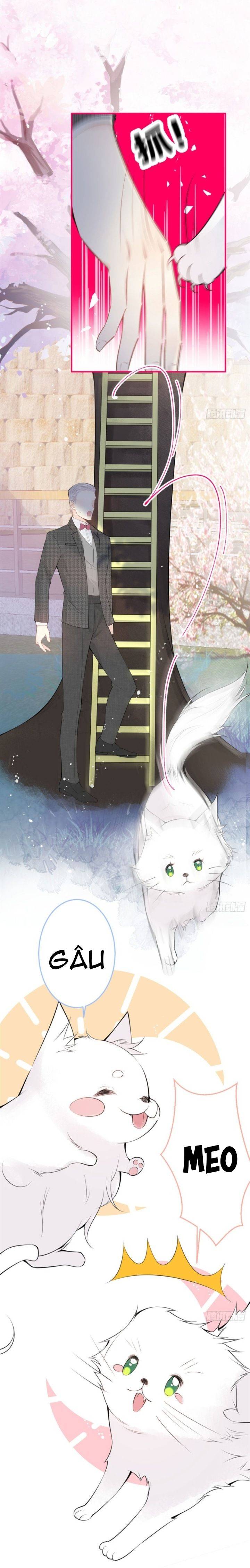 Tôi Có Năm Ba Ba Là Đại Boss - Chap 11