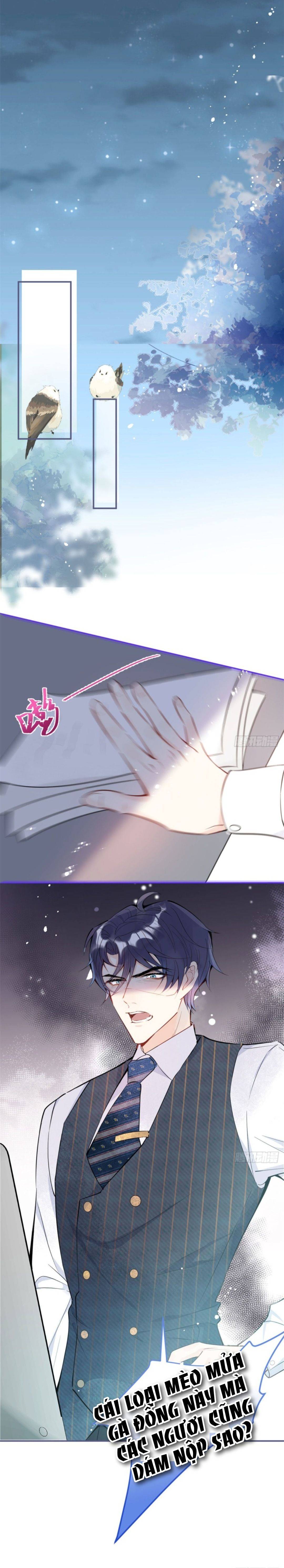 Tôi Có Năm Ba Ba Là Đại Boss - Chap 6