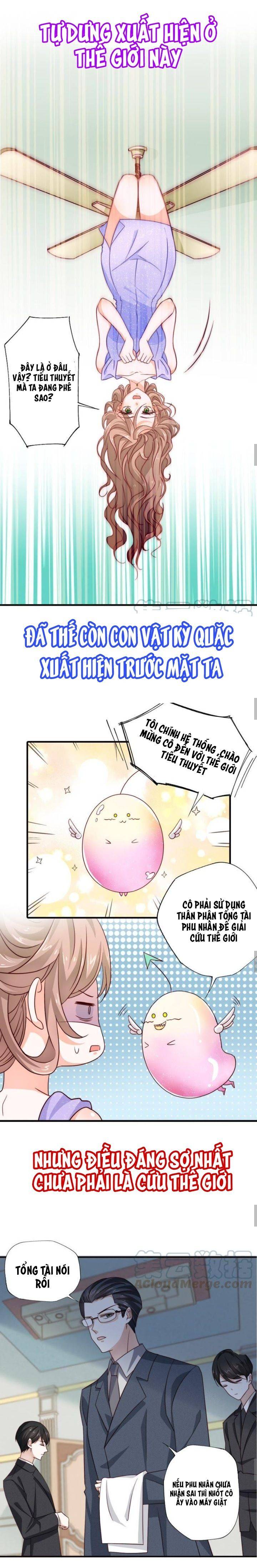 Tổng Tài Phu Nhân Không Muốn Giải Cứu Thế Giới - Chap 0