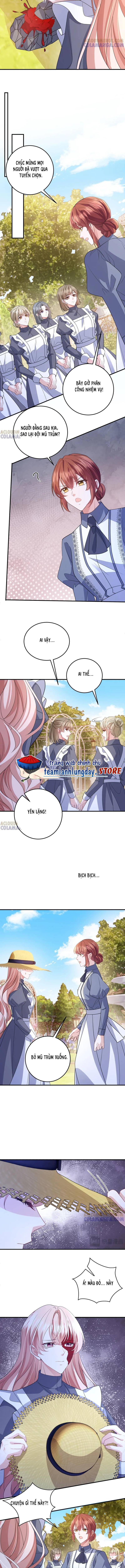 Trở Thành Hầu Gái Của Vị Bá Tước Bệnh Kiều - Chap 43