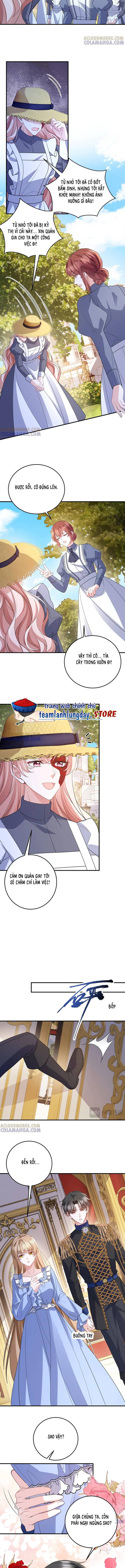 Trở Thành Hầu Gái Của Vị Bá Tước Bệnh Kiều - Chap 43