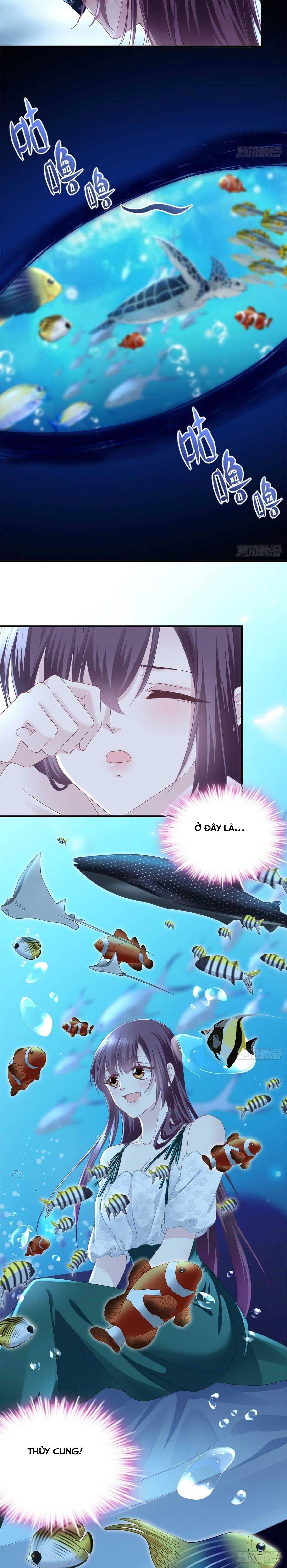 Trọng Sinh Về Chinh Phục Tổng Tài - Chap 65