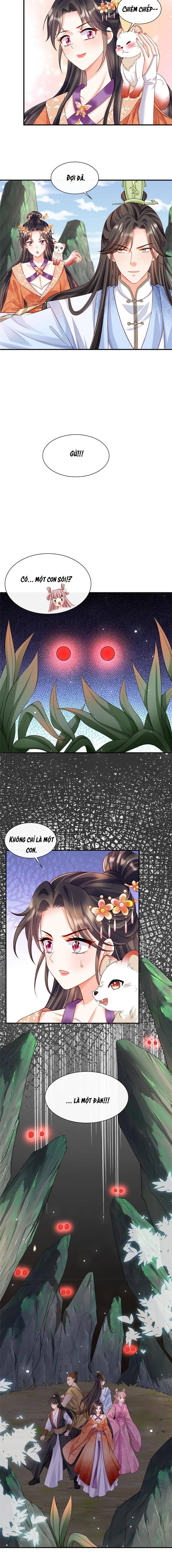 Trùng Sinh : Các Hoàng Tử Đòi Cưới Ta - Chap 38