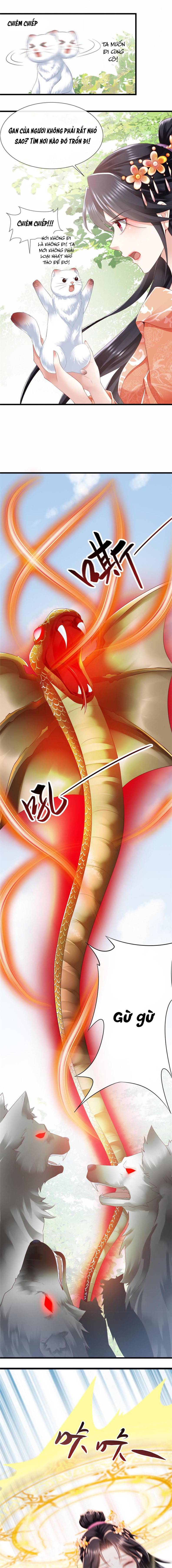 Trùng Sinh : Các Hoàng Tử Đòi Cưới Ta - Chap 42