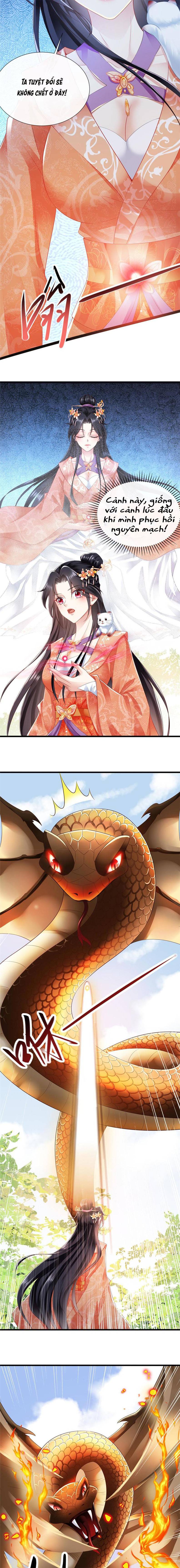 Trùng Sinh : Các Hoàng Tử Đòi Cưới Ta - Chap 42