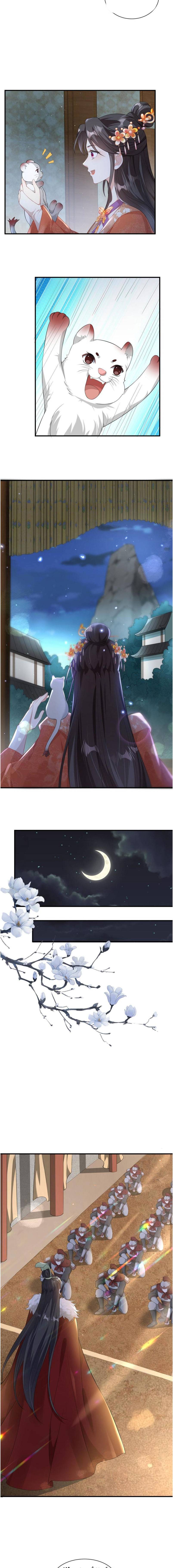 Trùng Sinh : Các Hoàng Tử Đòi Cưới Ta - Chap 53