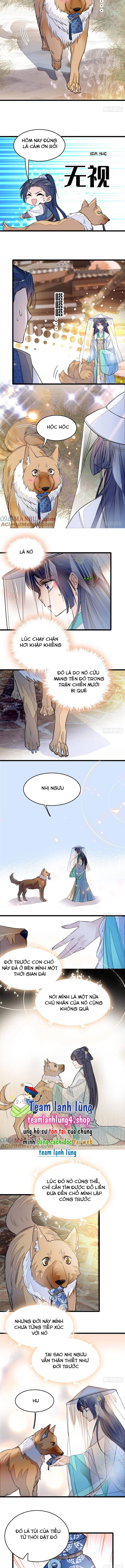 Tự Cẩm - Chap 24