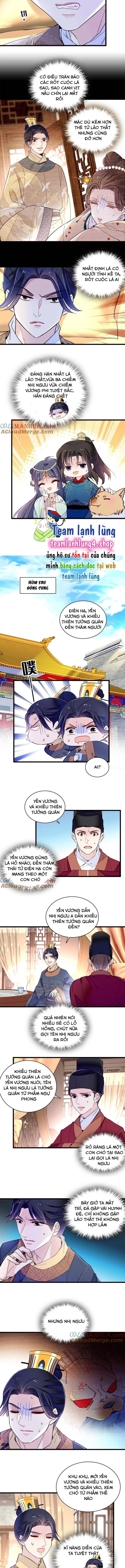 Tự Cẩm - Chap 246