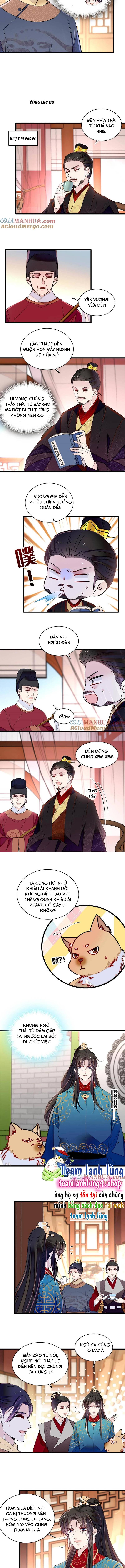 Tự Cẩm - Chap 246