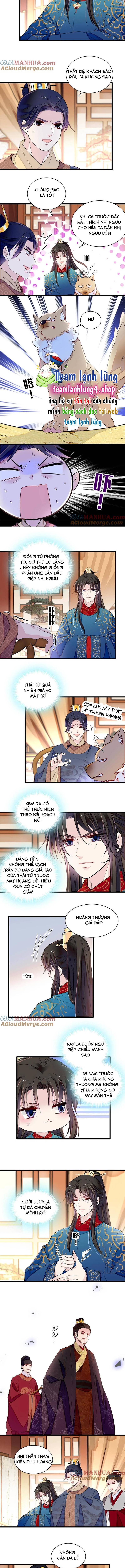Tự Cẩm - Chap 246
