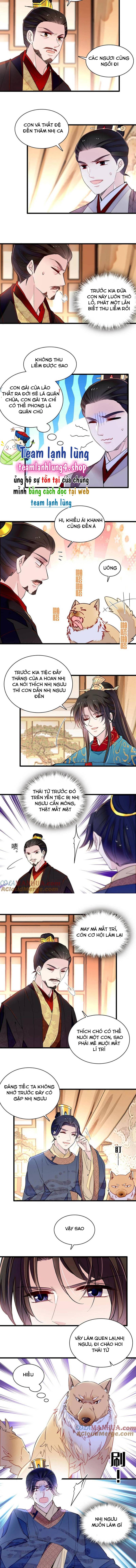 Tự Cẩm - Chap 246