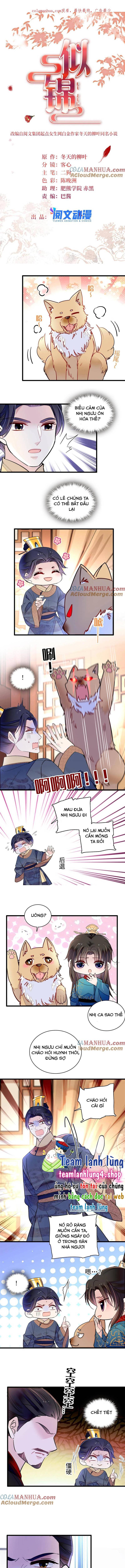 Tự Cẩm - Chap 247