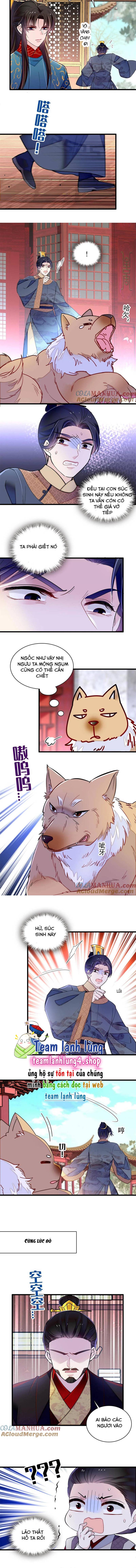 Tự Cẩm - Chap 247