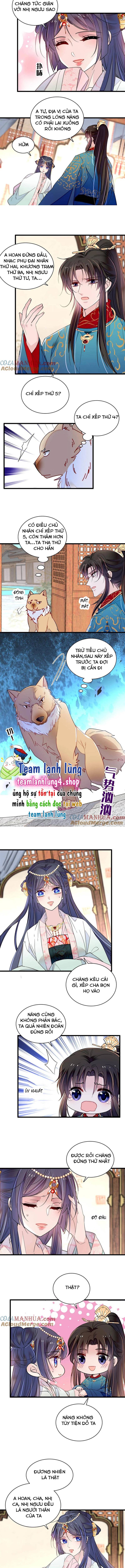 Tự Cẩm - Chap 248
