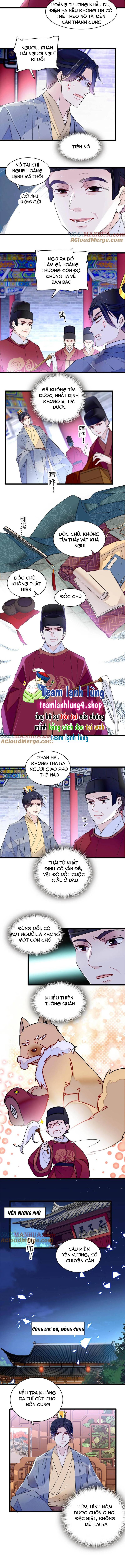 Tự Cẩm - Chap 257