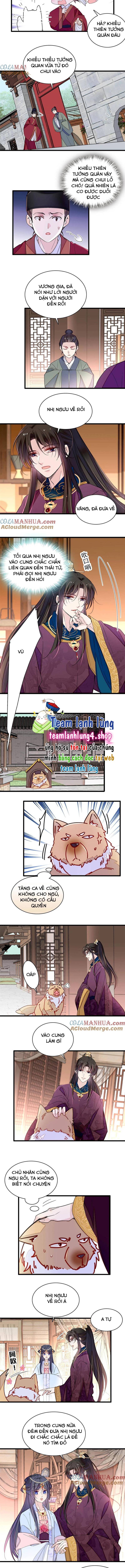 Tự Cẩm - Chap 258