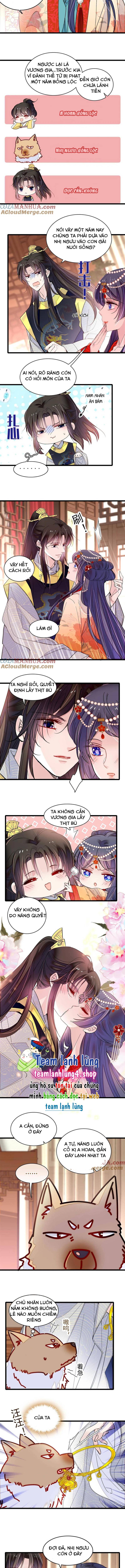 Tự Cẩm - Chap 260